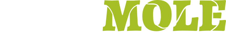 Logo OpenMOLE